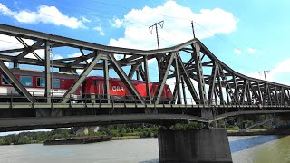 🚈Züge über die🌉Donau in Wien🎡während 🚢Schifffahrt [upl. by Norby928]