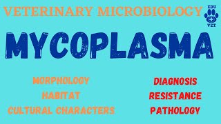 Mycoplasma Microbiology Bacteriology [upl. by Betthezel552]