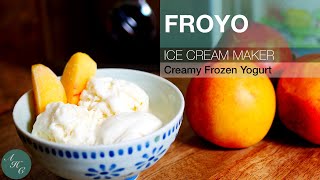 FROZEN YOGURT Recipe with Ice Cream Maker [upl. by Shelby]