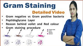 Gram Staining  Principle and procedure  Microbiology [upl. by Nigen]