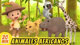 Animales Africanos Episodio Compilación Español  Leo El Explorador  Animación  Familia  Niños [upl. by Natividad]