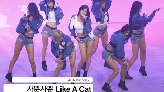 AOA 에이오에이4K 직캠사뿐사뿐 Like A Cat20161012 Rock Music [upl. by Ahcropal490]