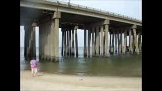 Surf Fishing Lynnhaven Inlet  The View From the Beach [upl. by Harwill]