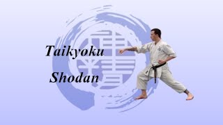 Taikyoku Shodan  The first and most important kata 🥋🙏 [upl. by Brittaney]