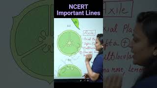 Axile Placentation  Revision Biology NEET  NCERT important lines for NEET  neetbiology [upl. by Nywg128]