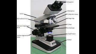 MicroscopesBiology AS Cambridge [upl. by Eudosia]