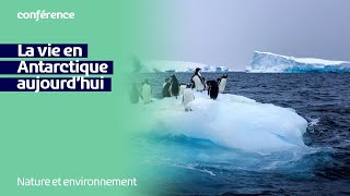 La vie en Antarctique aujourd’hui [upl. by Nirret]