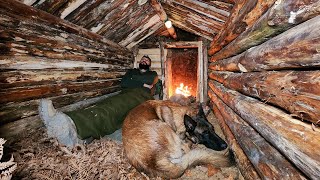 Building Warm Bushcraft Survival Shelter in Wildlife Fireplace Campfire Cooking ASMR DIY [upl. by Sell233]