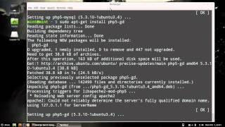 Instalar servidor LAMP Linux Mint [upl. by Bay]