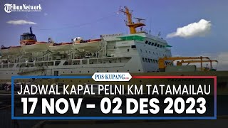 Jadwal Kapal Pelni KM Tatamailau 17 November2 Desember 2023 Dari FakFak TernateMaraukeBitung [upl. by Pallaton]