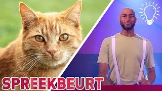 Een kat heeft negen levens  Spreekbeurt  Studio Snugger [upl. by Other340]