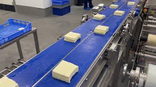 Twin Cutting Machine 60g Automatic Cutting Machine for WhiteFeta Type Cheese Katerisorg [upl. by Brodeur]