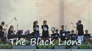 The Black Lions  Unchain My Heart  Live auf der Landesgartenschau Eutin 2016 [upl. by Swenson236]