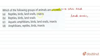 Which of the following groups of animals are uricotelic [upl. by Strohbehn]