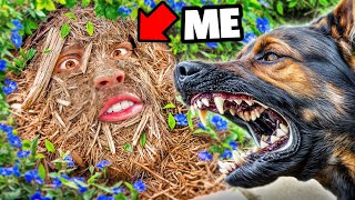 I Used Camouflage to Escape a Police Dog – Will It Work [upl. by Bryan]