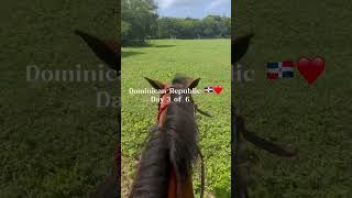 Day 3 ❤️🇩🇴 I galloped in a field 😋 [upl. by Yde196]