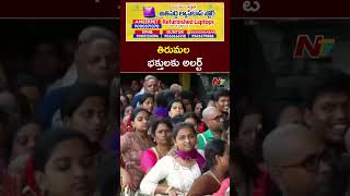 TTD To Release January 2025 Darshan Tickets  Ntv [upl. by Dnalsor]