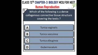 neet 2022  Human Reproduction mcq for neet exam  most important question [upl. by Reld433]