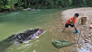 fishing ancient fishing techniquesfishing with worms Highland boy Khai catches catfish for sale [upl. by Aiclef337]