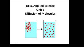 BTEC Applied Science Unit 3 Diffusion of Molecules [upl. by Mintz]