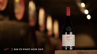 Meet our 2019 Bin 23 Pinot Noir  Penfolds [upl. by Gilletta]