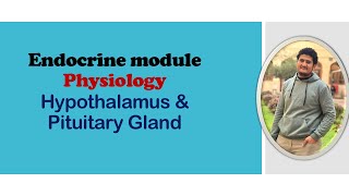 Hypothalamus amp Pituitary  Physiology  Endocrine module [upl. by Lucie134]