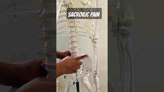 Suffering from sacroiliac pain humanbiologyanatomyhumanbodyphysiotherapybackpainviralshort [upl. by Nira]