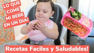 IDEAS DE COMIDAS PARA BEBES  LO QUE COME MI BEBE EN UN DIA  10  MESES [upl. by Yuh]