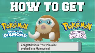 HOW TO EVOLVE PILOSWINE INTO MAMOSWINE IN POKEMON BRILLIANT DIAMOND AND SHINING PEARL [upl. by Kazmirci845]