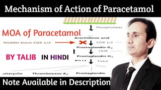 Mechanism of Action of Paracetamol In Hindi [upl. by Karoline17]