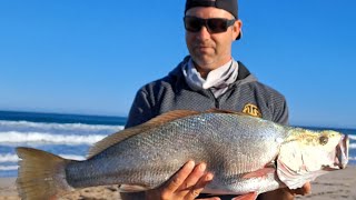 Kalbarri mulloway  Jewfish session on way home from up north fishing kalbarri [upl. by Annabel]