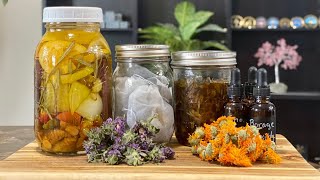 DIY Herbal Remedies Powerful Medicinal Recipes to Try at Home [upl. by Nivla]