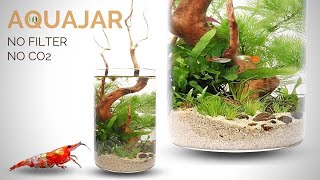 Building a Planted Aquajar no filter no CO2 Walstad style aquarium [upl. by Oinota]