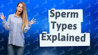 What are the four types of sperm [upl. by Aicelf222]