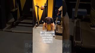 best workout for erector spinae ES muscles [upl. by Aryhs341]