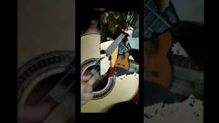 OBLIVION  APIAZZOLLA  Full video is on my channel piazzolla oblivion shorts mandolin guitar [upl. by Duwe]