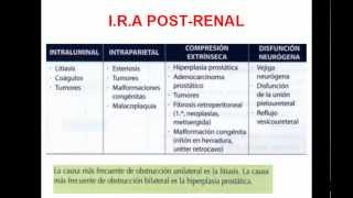 INSUFICIENCIA RENAL AGUDA PARTE 2 [upl. by Michey819]