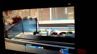 Episode 1 HALO REACH How to Get Professional Headshots EASY [upl. by Airdnala]