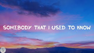 Gotye  Somebody That I Used To Know Lyric Video [upl. by Breen166]