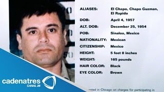 ¿El Chapo Guzmán traicionado por el Mayo Zambada [upl. by Eyar]