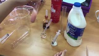 GCSE Biology Practical 10 Decay [upl. by Volney647]