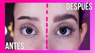 CEJAS PERFECTAS Y NATURALES ✅💁‍♀️ Tendencia 2019 [upl. by Curnin]