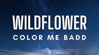 Color Me Badd  Wildflower Lyrics [upl. by Holli]