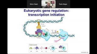 Webinar 12 Transcriptional and postranscriptional regulation of gene expression [upl. by Armbrecht175]