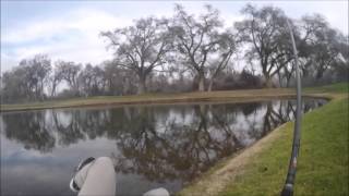 Huddleston swimbait catches 5lb bass [upl. by Januisz]