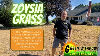 Zoysia Grass Zoysia Grass Control in the Northeast [upl. by Petronia]