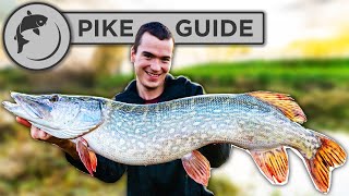 A Beginners Guide To Pike Fishing  Tactics Bait Lures Rigs and Unhooking [upl. by Stolzer]