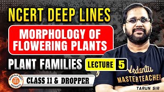 MORPHOLOGY OF FLOWERING PLANTS CLASS 11  NCERT DEEP LINES  COMPLETE NCERT FOR NEET 2025 TARUN SIR [upl. by Maxima]