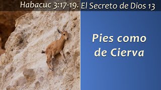 El Secreto de Dios 13 Pies de Ciervas [upl. by Rebliw]