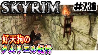 【SKYRIM】好天狗のタムリエル紀行 オーリエンと秘密の部屋【7326】 [upl. by Jerrold419]